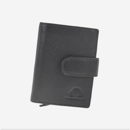 Greenburry card holder 