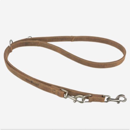 Greenburry dog leash 